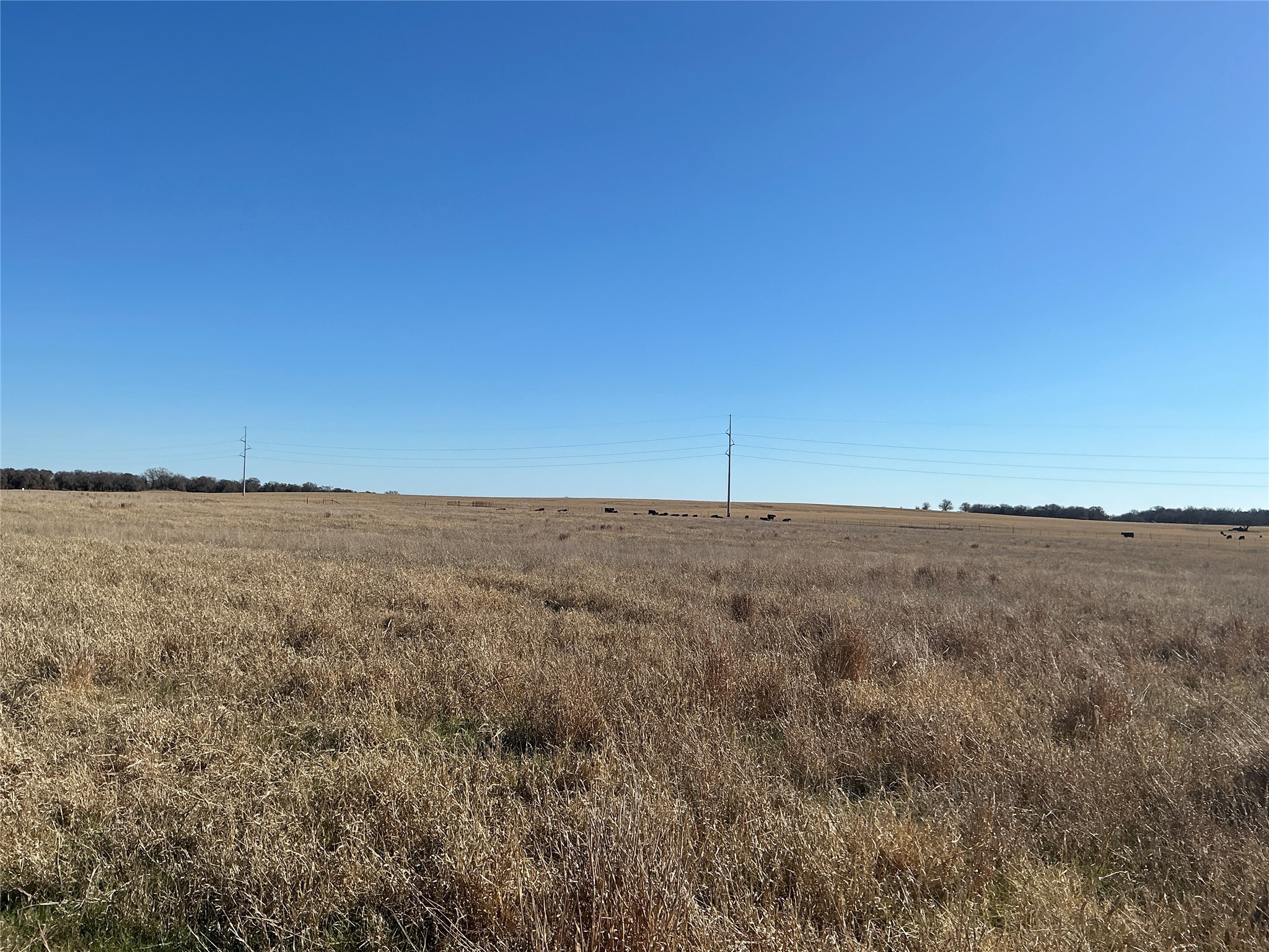 Tbd County Road 152 Comanche TX 76442