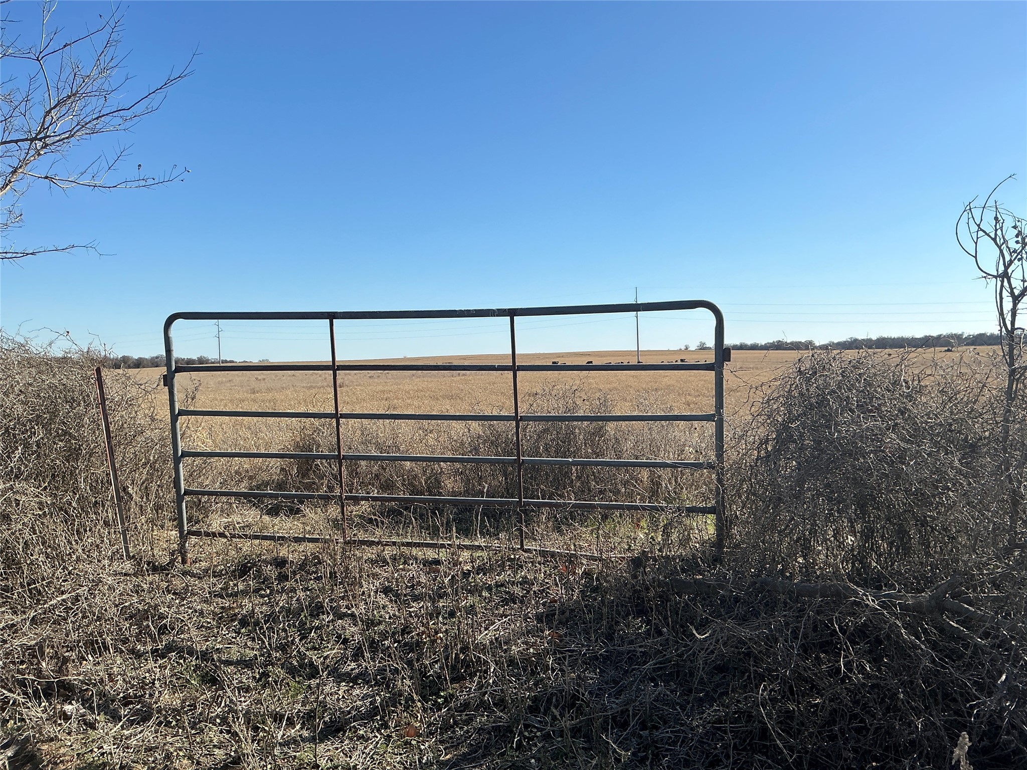 Tbd County Road 152 Comanche TX 76442