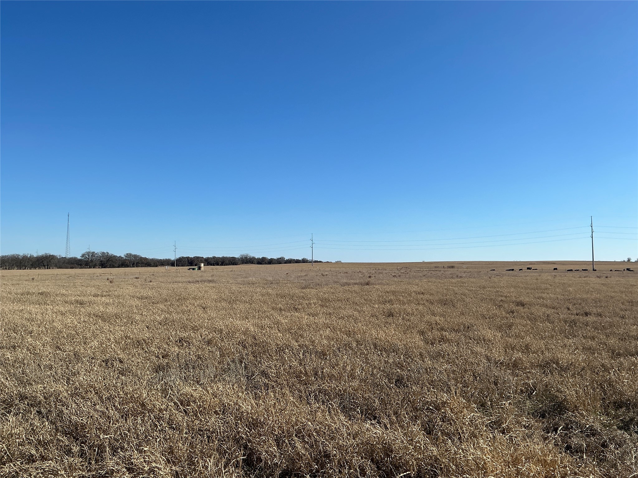 Tbd County Road 152 Comanche TX 76442