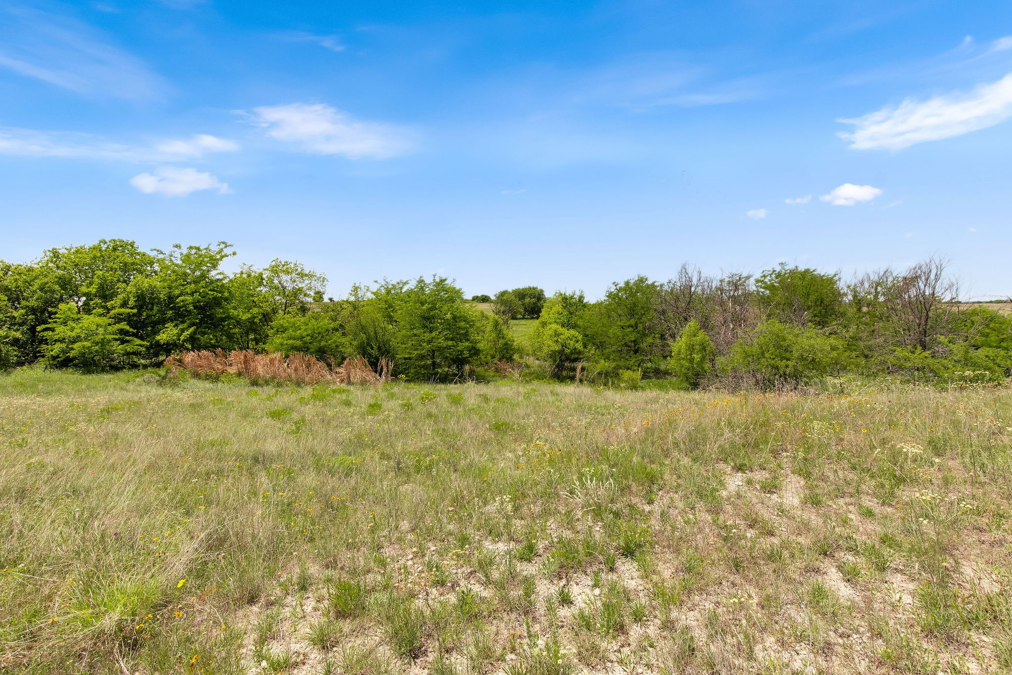 Tbd 80+/- Acres Cr-4421 Rhome TX 76078