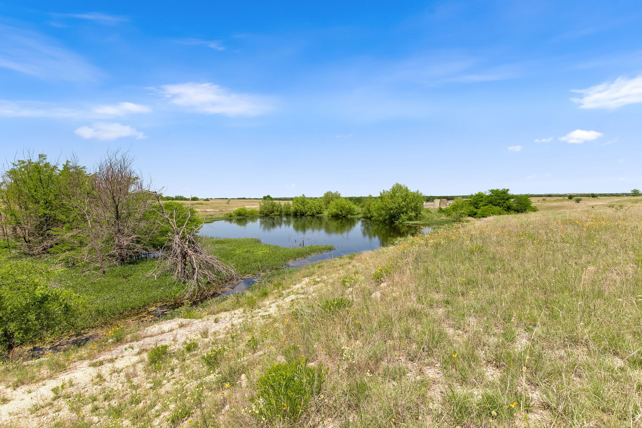 Tbd 80+/- Acres Cr-4421 Rhome TX 76078