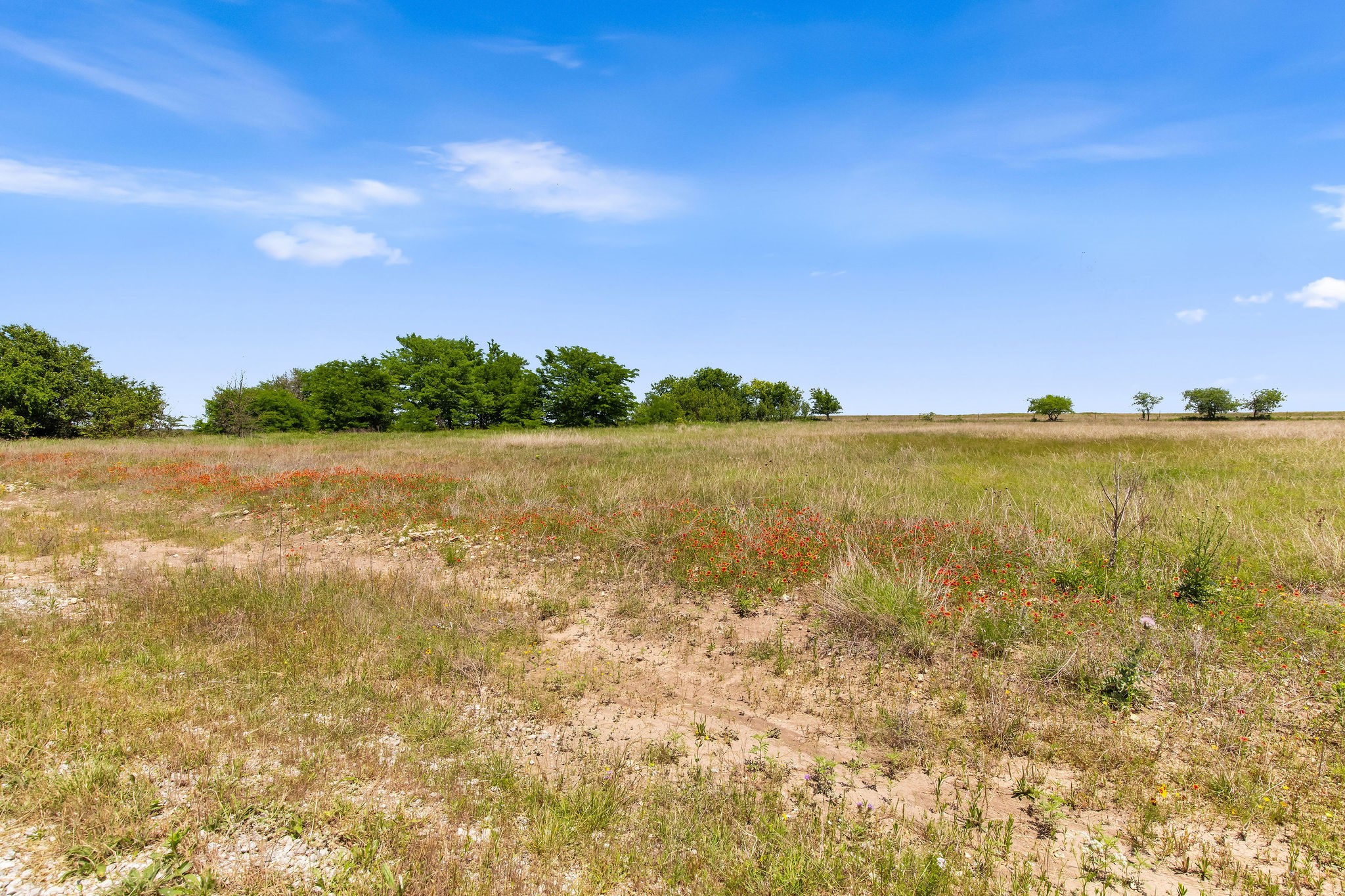 Tbd 80+/- Acres Cr-4421 Rhome TX 76078