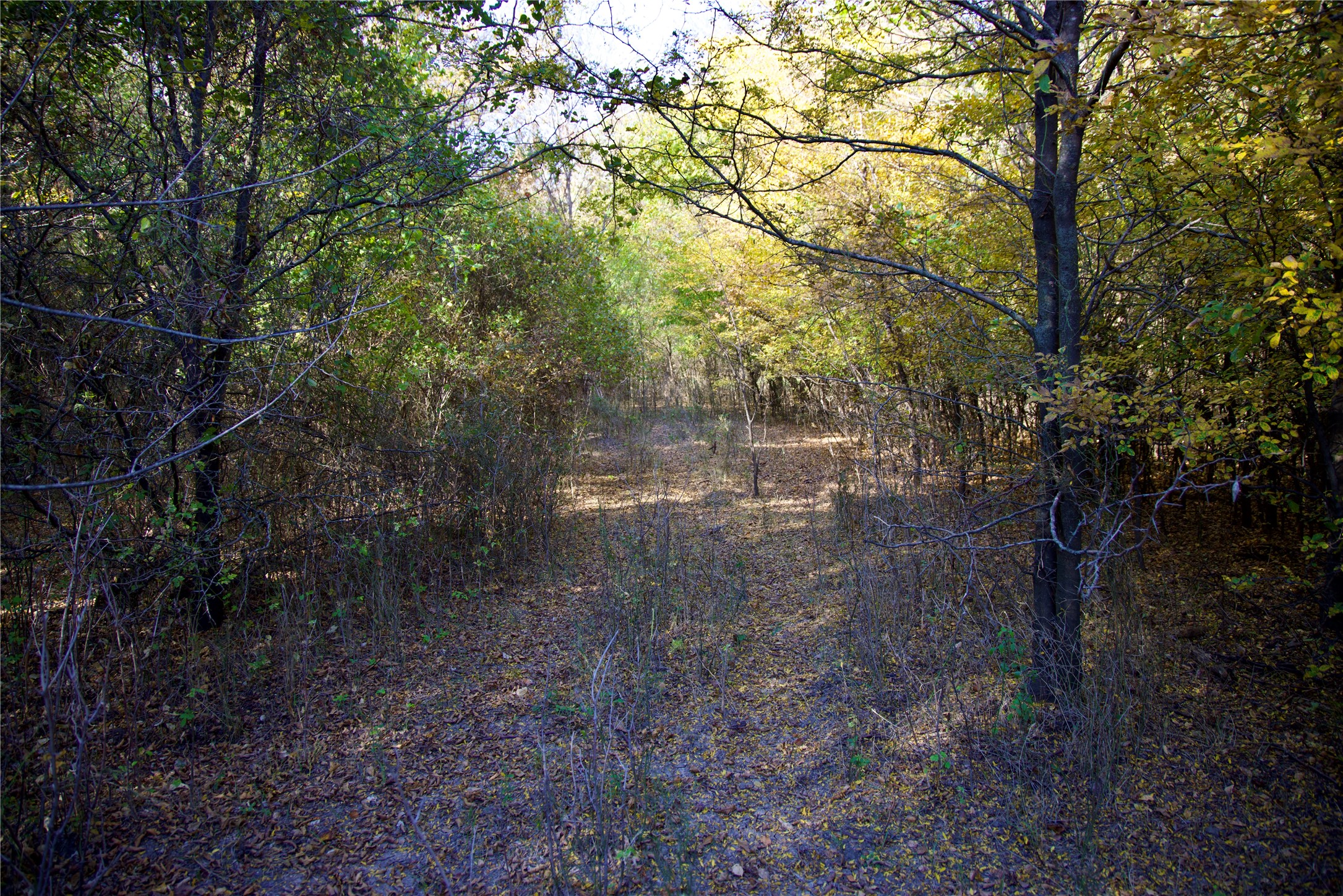 Tbd 80+/- Acres Cr-4421 Rhome TX 76078