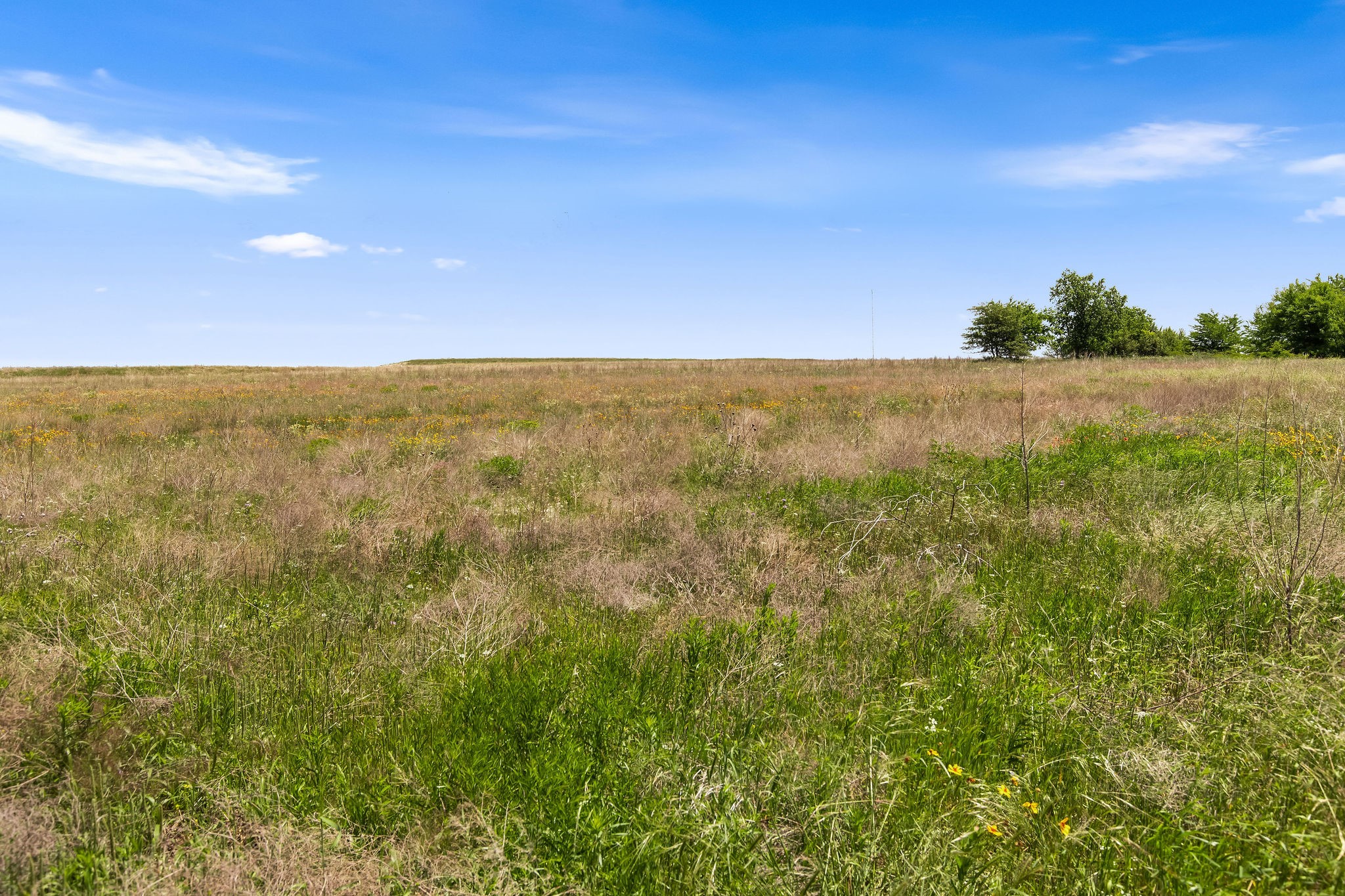 Tbd 80+/- Acres Cr-4421 Rhome TX 76078