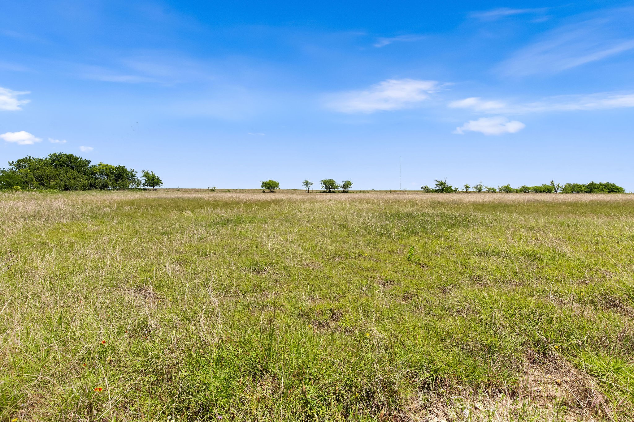 Tbd 80+/- Acres Cr-4421 Rhome TX 76078