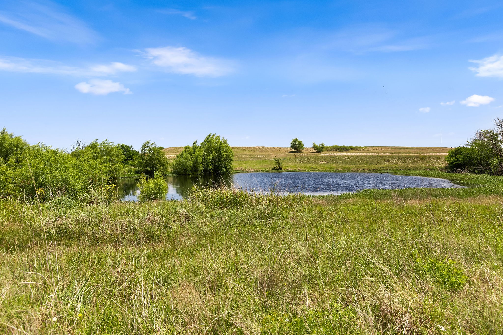 Tbd 80+/- Acres Cr-4421 Rhome TX 76078