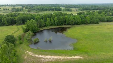 16602 Tx-19 Palestine TX 75803