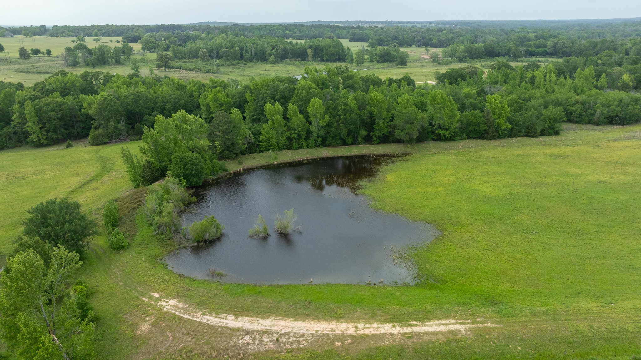 16602 Tx-19 Palestine TX 75803