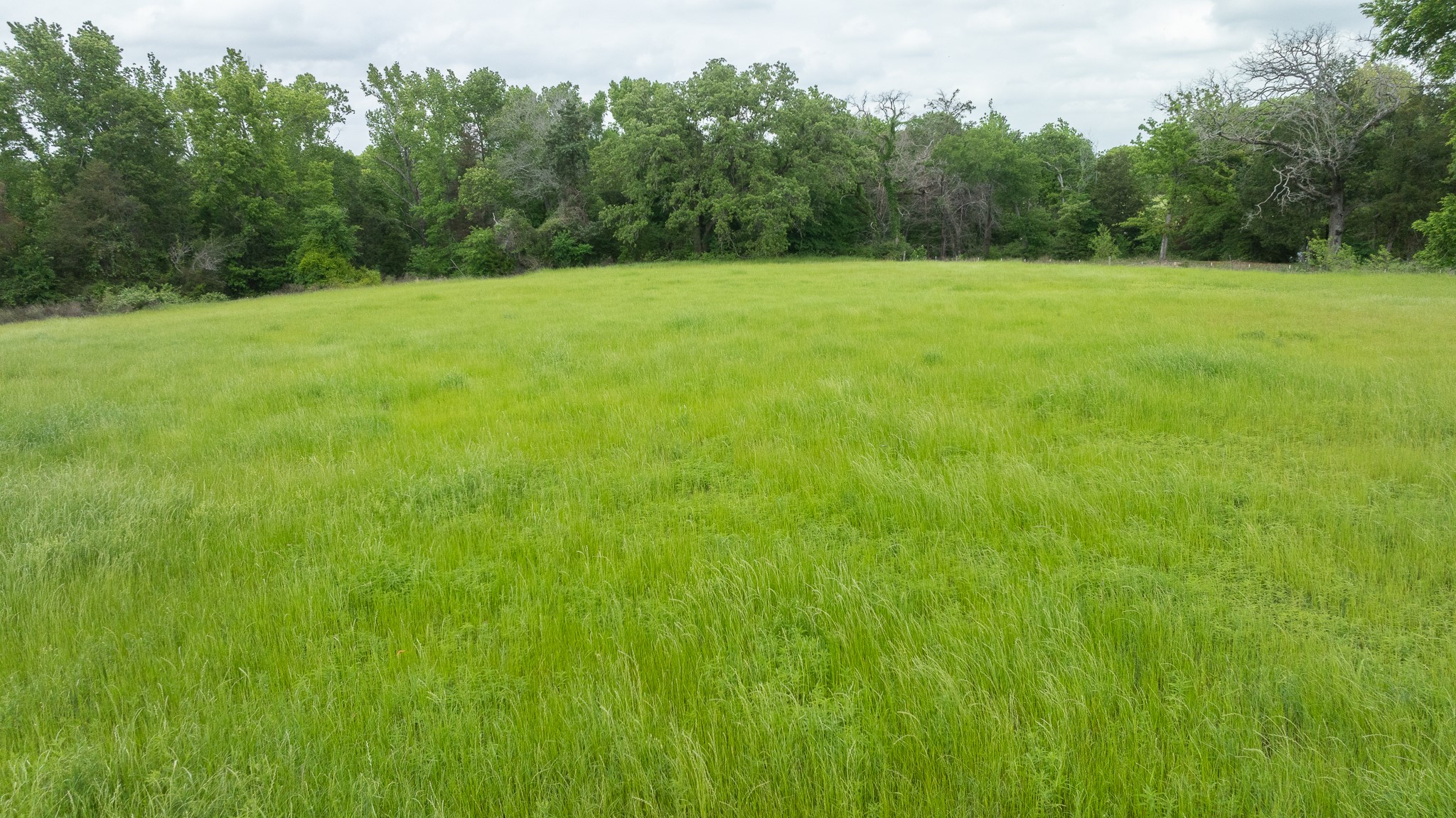 16602 Tx-19 Palestine TX 75803