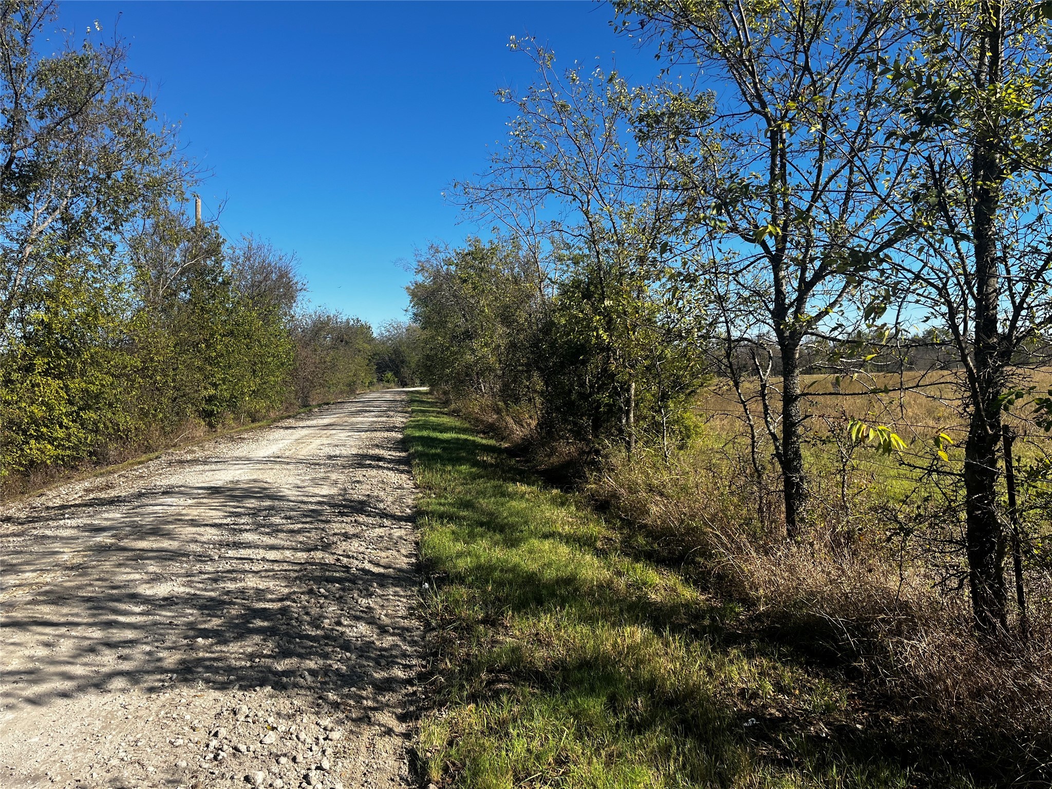 2920 County Road 4301 Greenville TX 75401