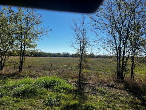 2920 County Road 4301 Greenville TX 75401