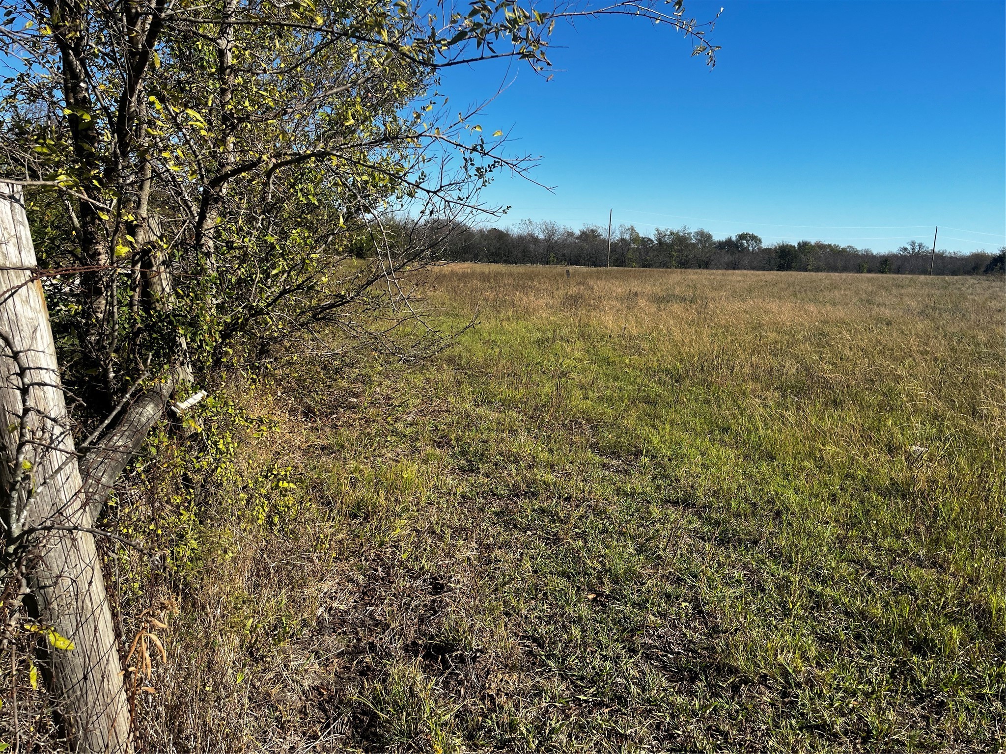2920 County Road 4301 Greenville TX 75401