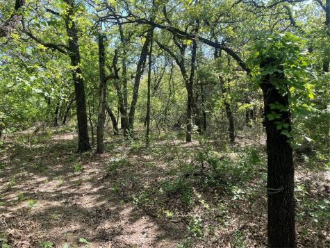 Tbd Griffin St Griffin Street Azle TX 76020