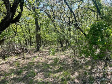 Tbd Griffin St Griffin Street Azle TX 76020