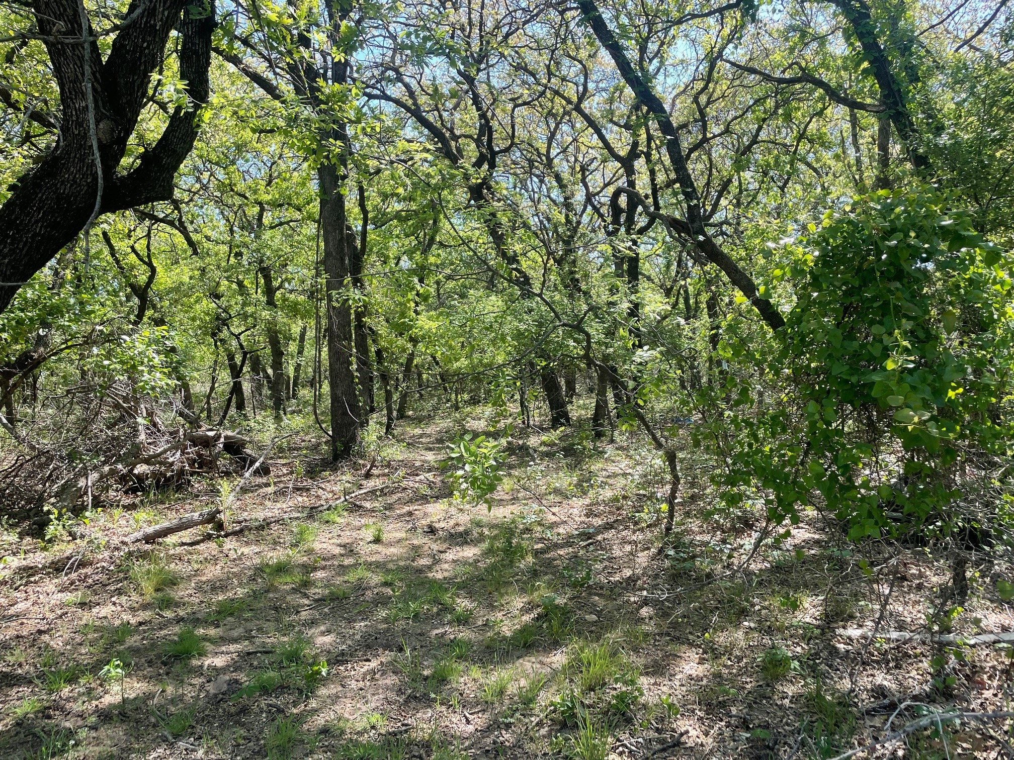 Tbd Griffin St Griffin Street Azle TX 76020