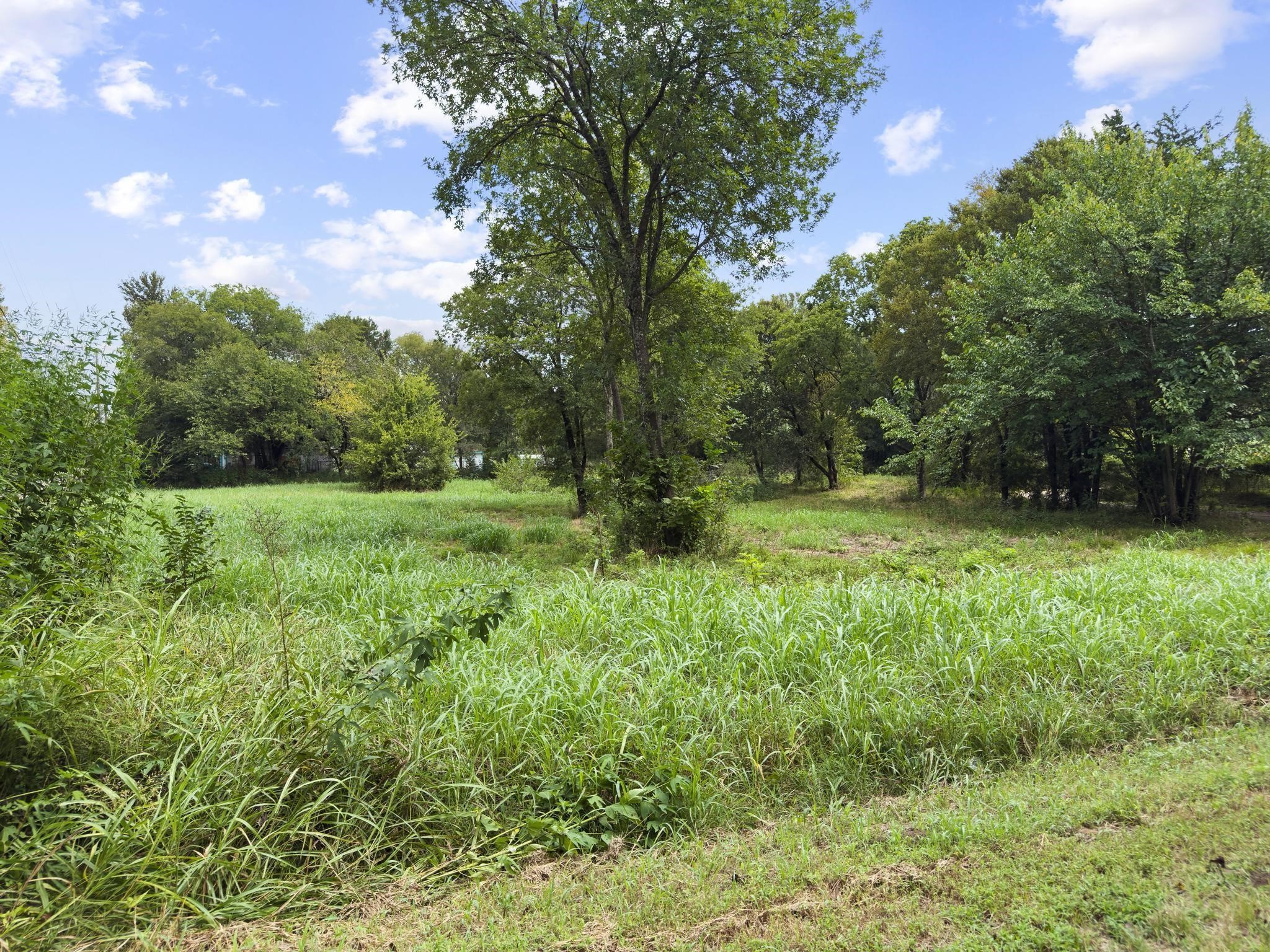 000 Lot 4 Smith Street Bonham TX 75418
