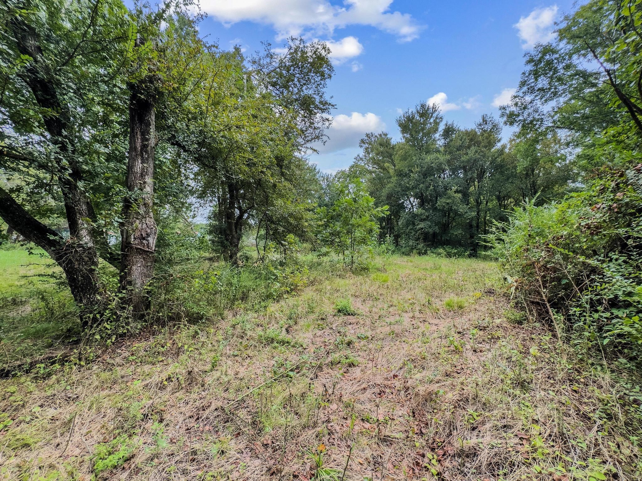 000 Lot 4 Smith Street Bonham TX 75418
