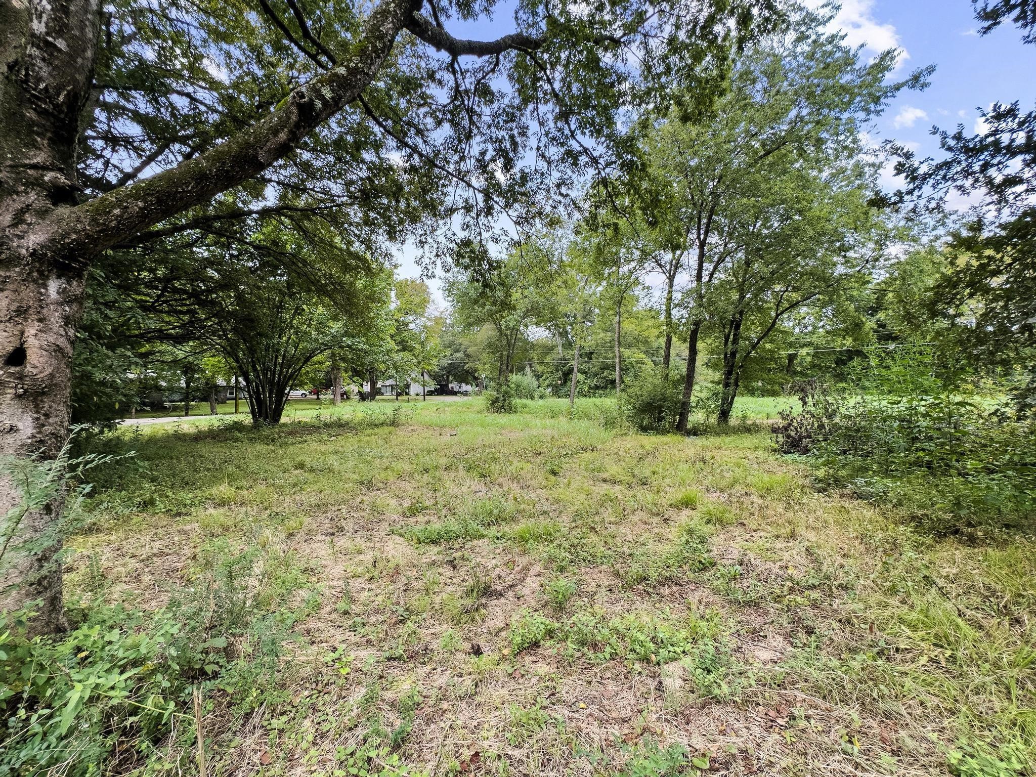 000 Lot 4 Smith Street Bonham TX 75418