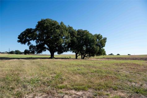 2160 County Road 4371 Decatur TX 76234