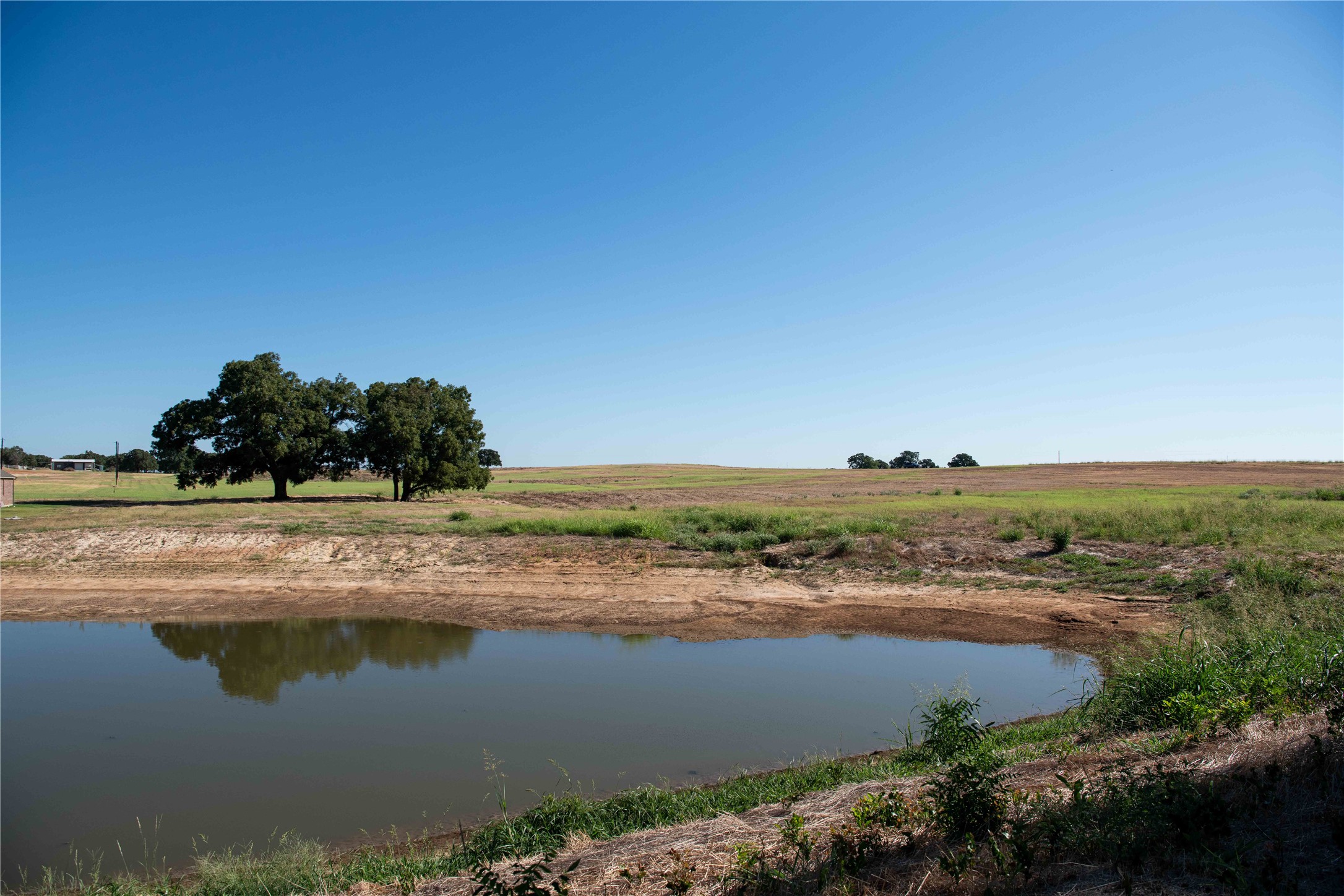 2160 County Road 4371 Decatur TX 76234