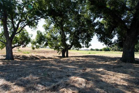 2160 County Road 4371 Decatur TX 76234