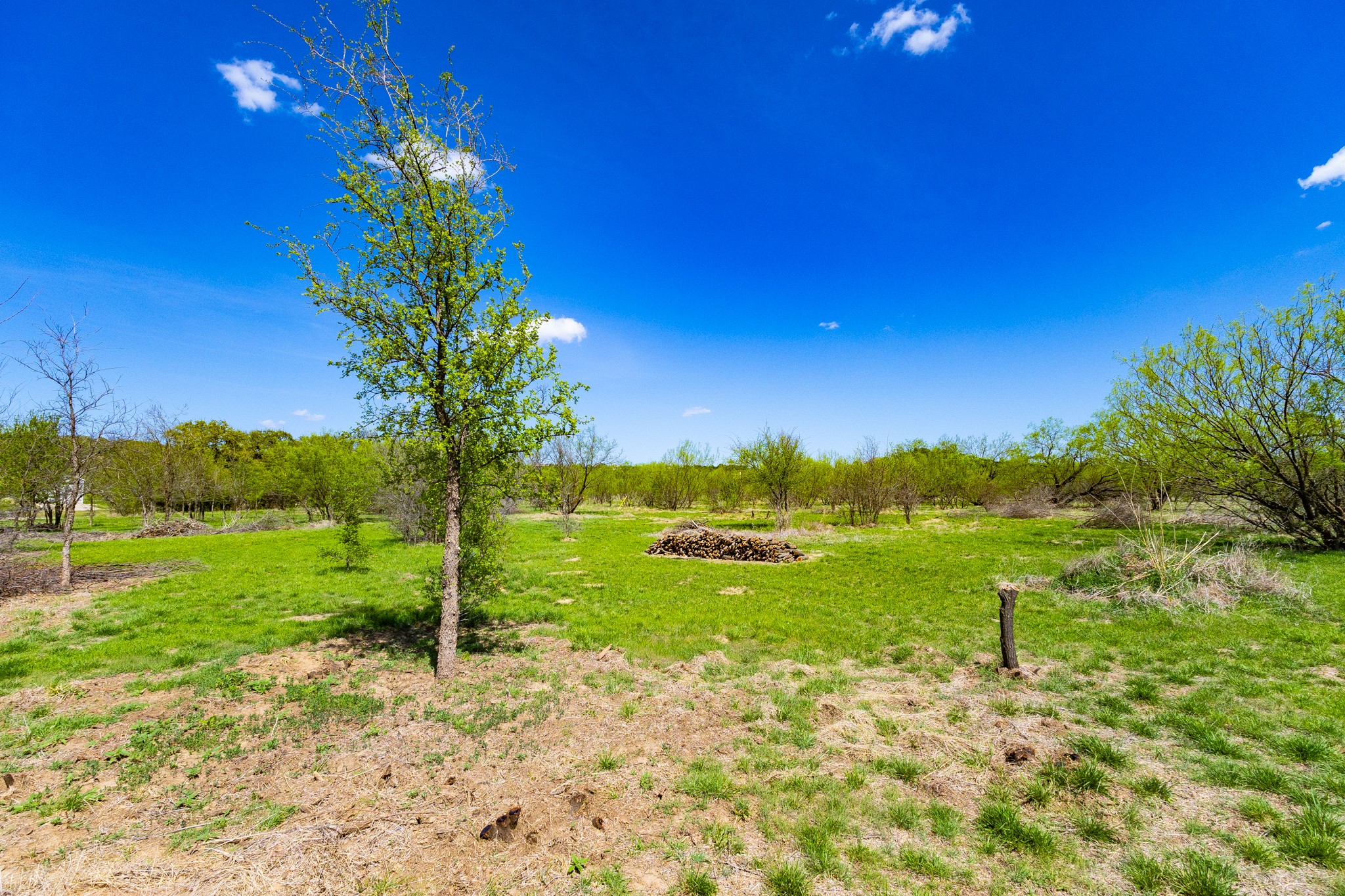 Lot 446 Indigo Bush Possum Kingdom Lake TX 76449