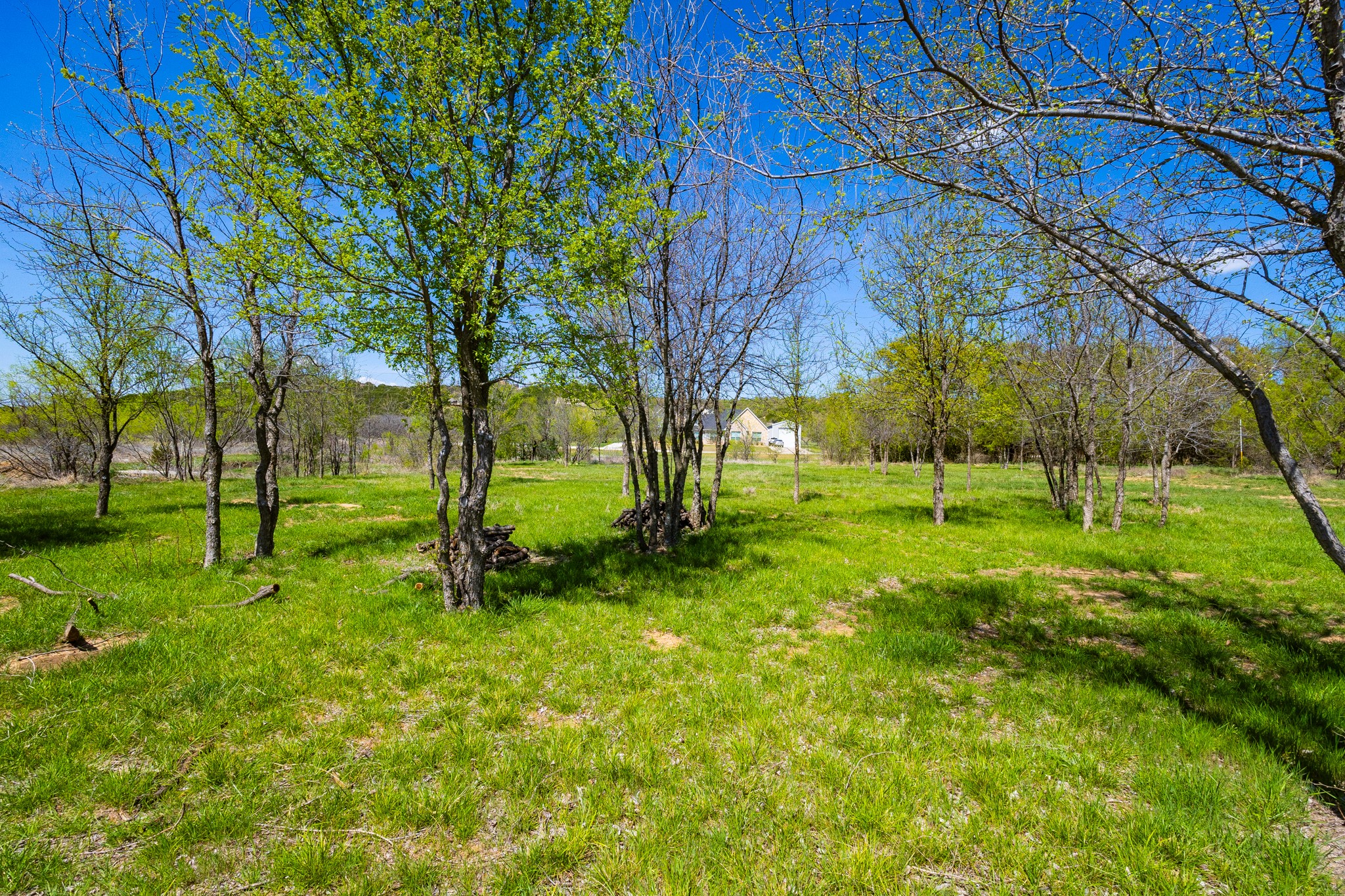 Lot 446 Indigo Bush Possum Kingdom Lake TX 76449