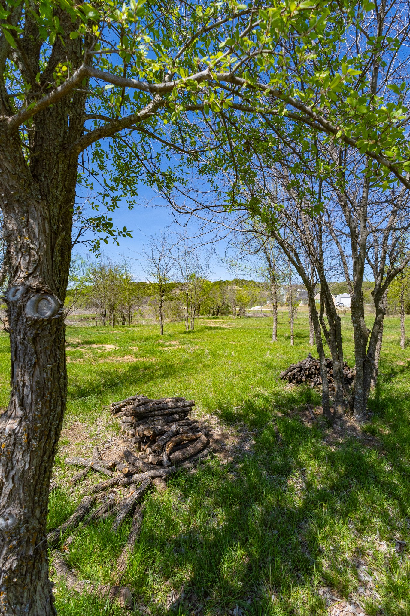 Lot 446 Indigo Bush Possum Kingdom Lake TX 76449