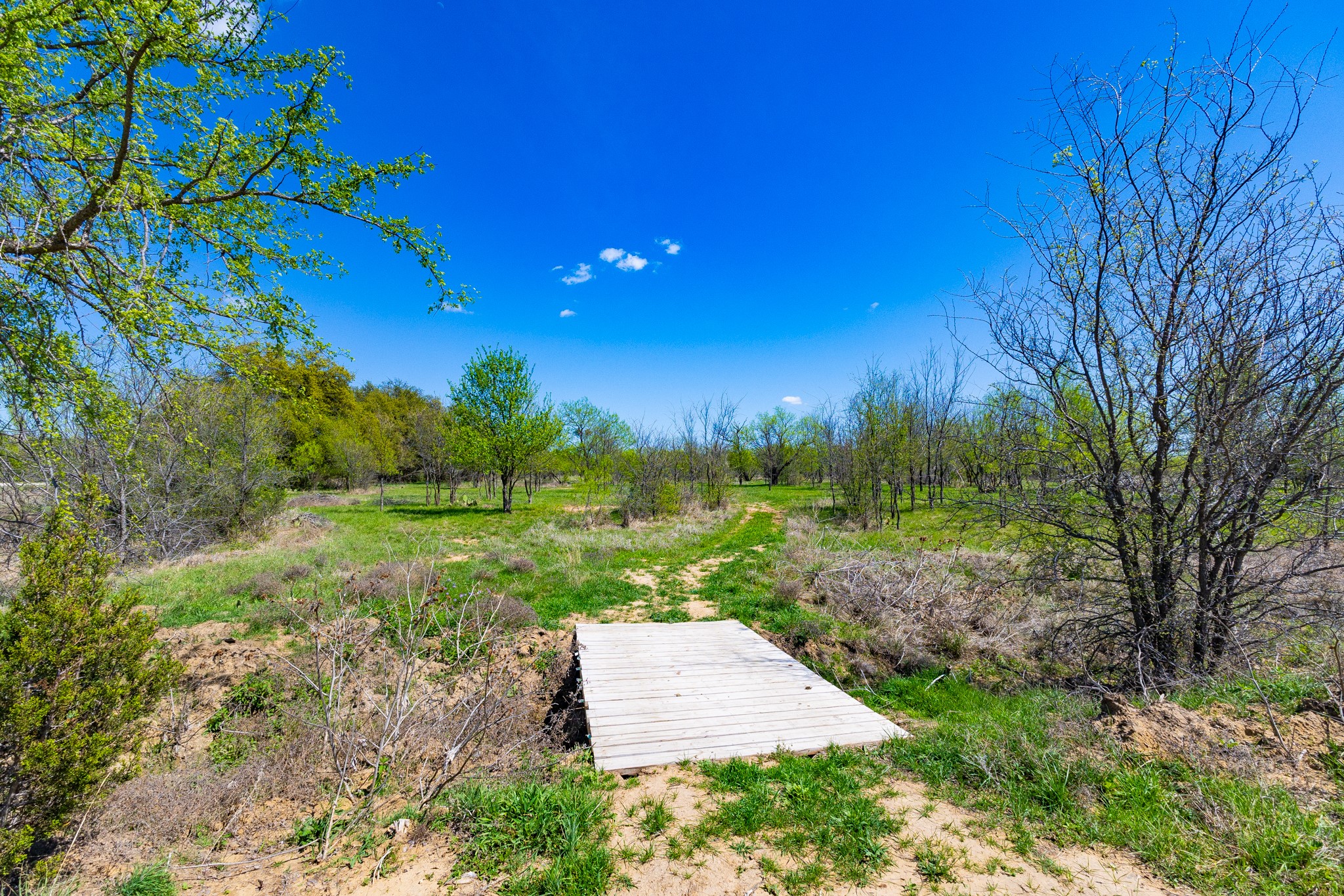 Lot 446 Indigo Bush Possum Kingdom Lake TX 76449