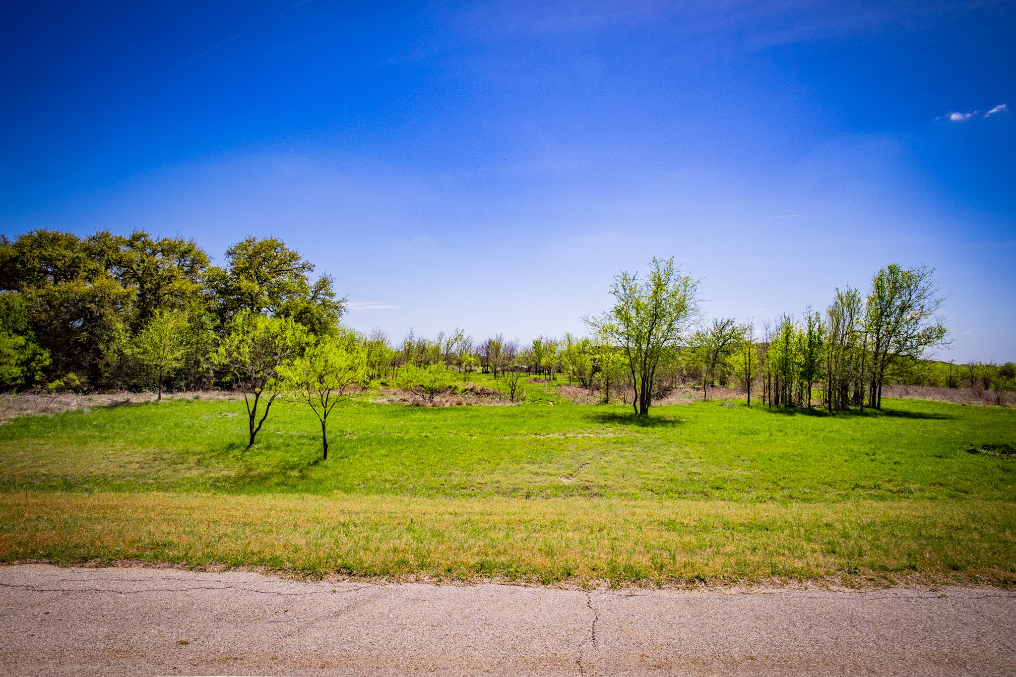 Lot 446 Indigo Bush Possum Kingdom Lake TX 76449