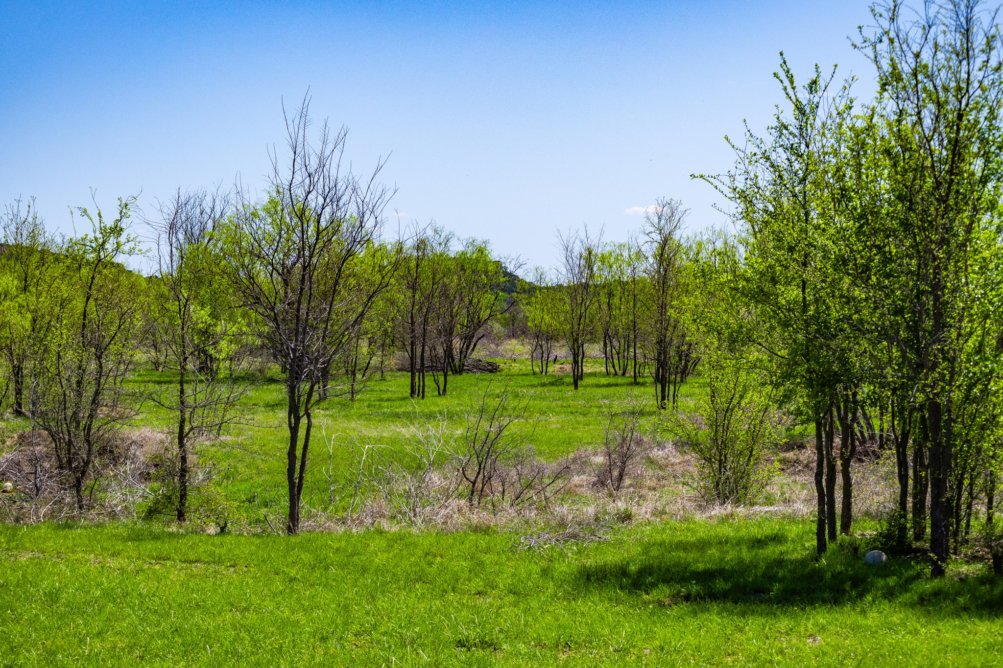 Lot 446 Indigo Bush Possum Kingdom Lake TX 76449