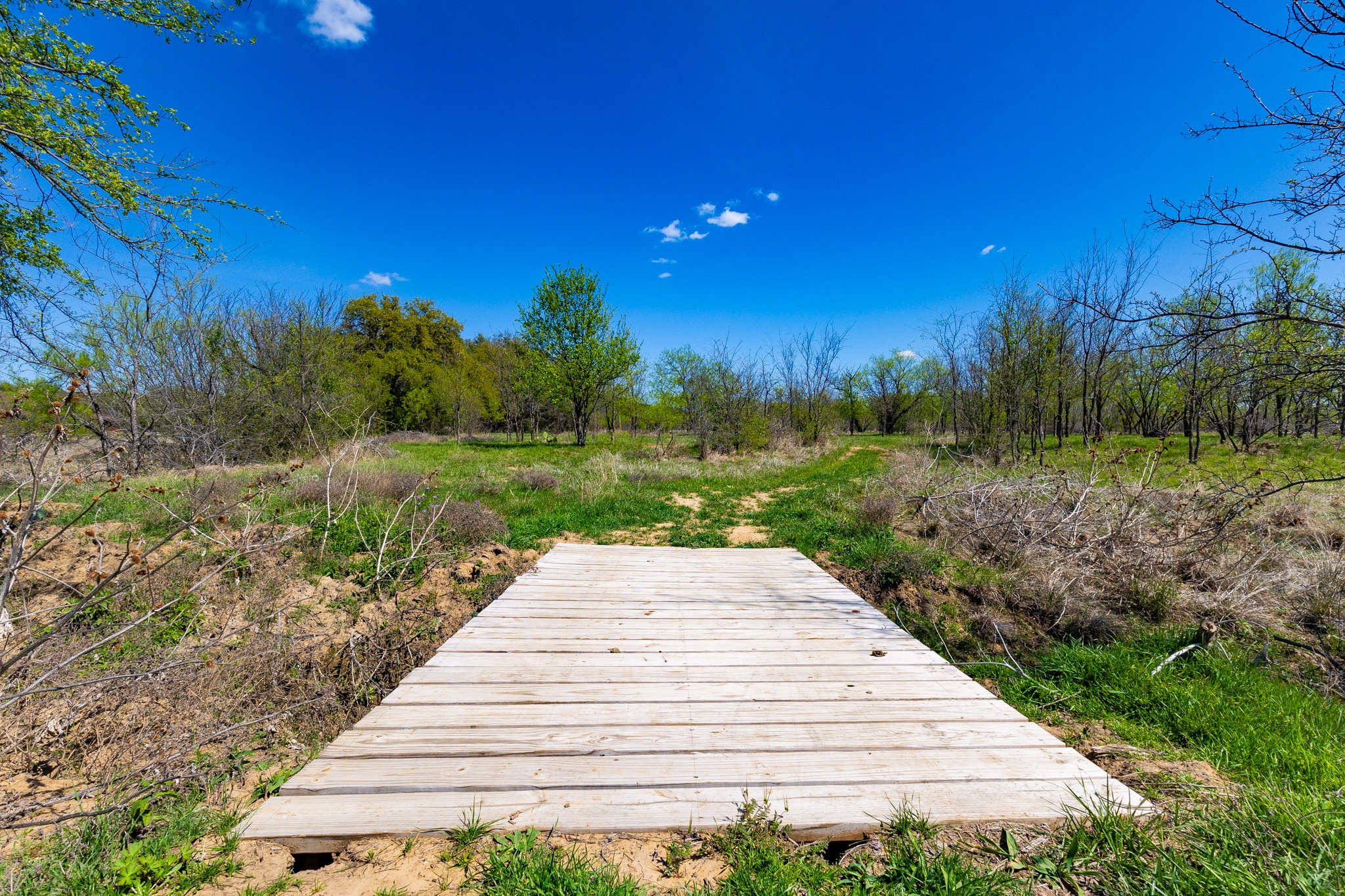 Lot 446 Indigo Bush Possum Kingdom Lake TX 76449