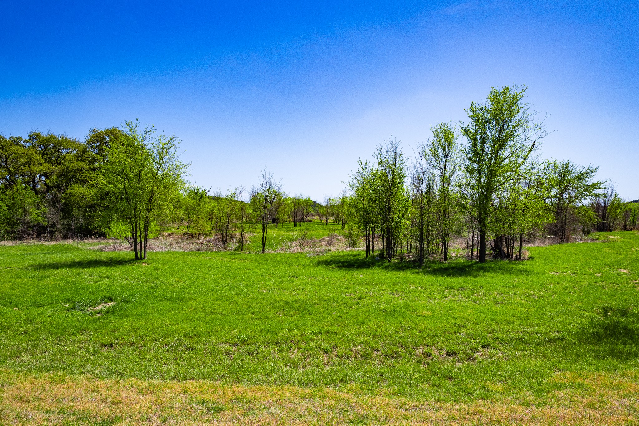 Lot 446 Indigo Bush Possum Kingdom Lake TX 76449