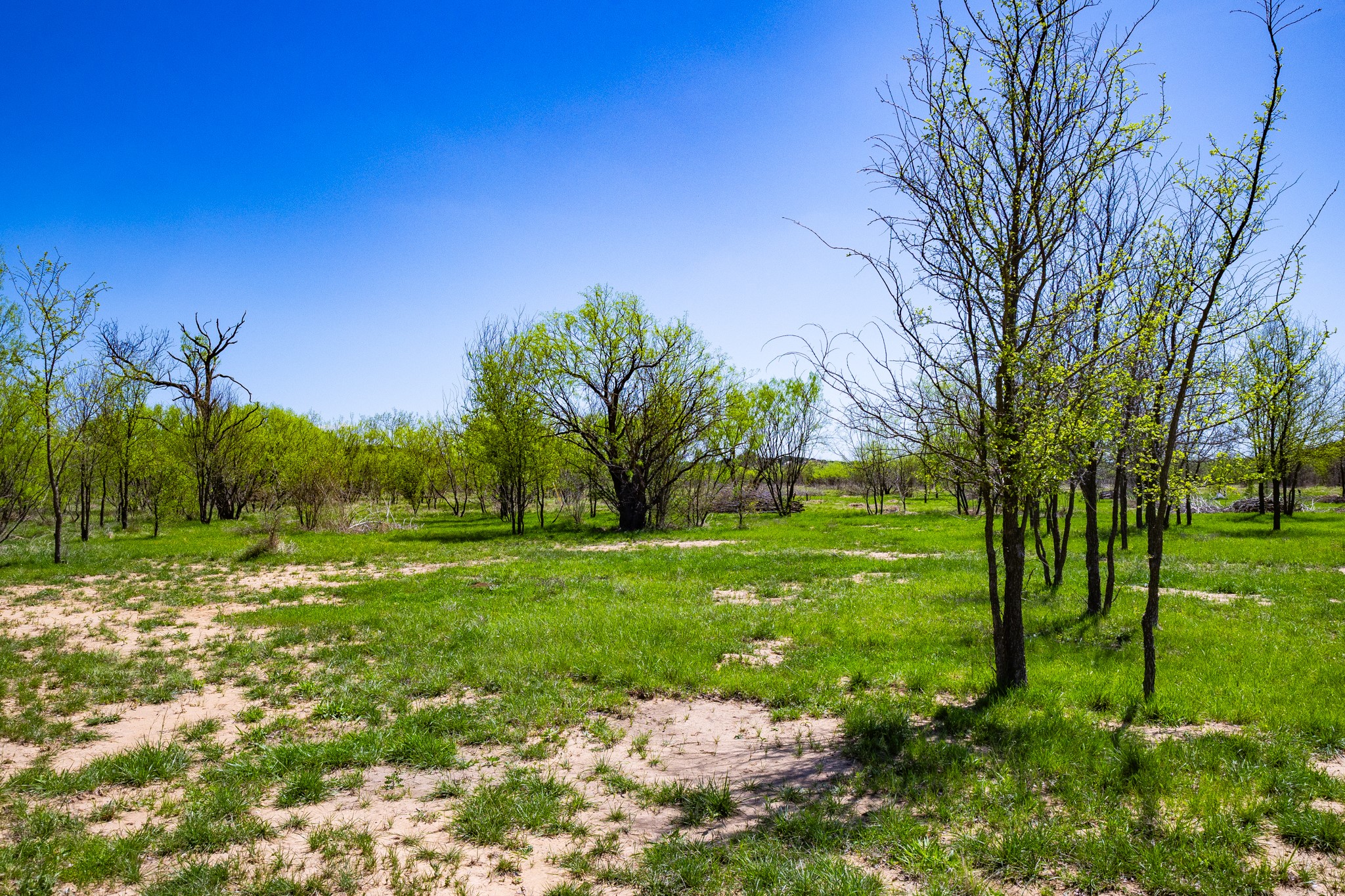Lot 446 Indigo Bush Possum Kingdom Lake TX 76449
