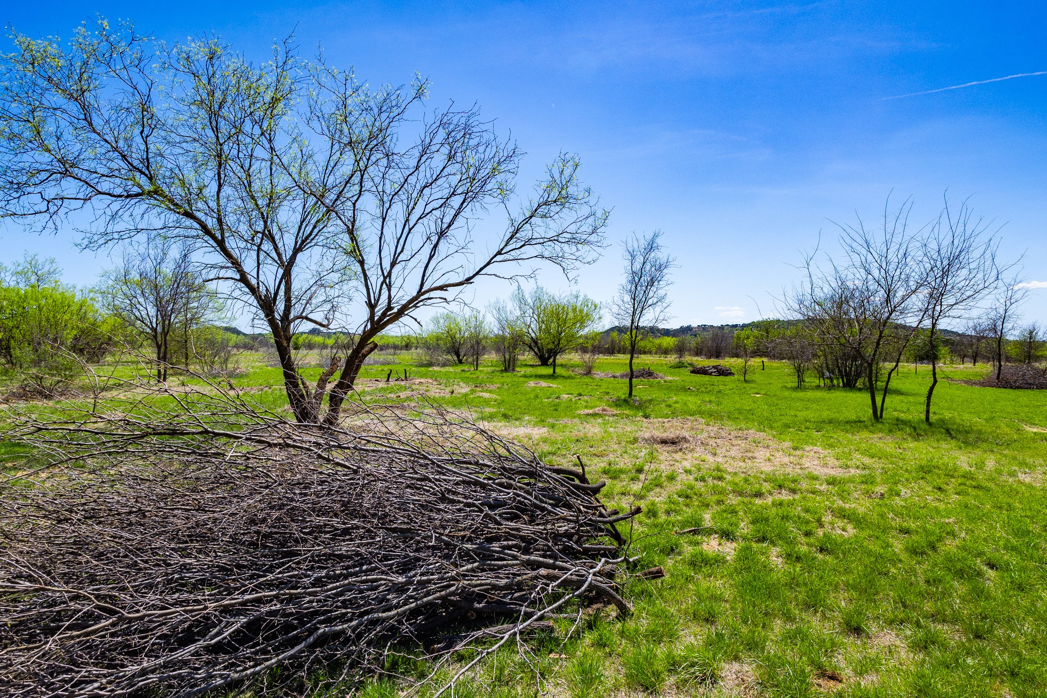 Lot 446 Indigo Bush Possum Kingdom Lake TX 76449