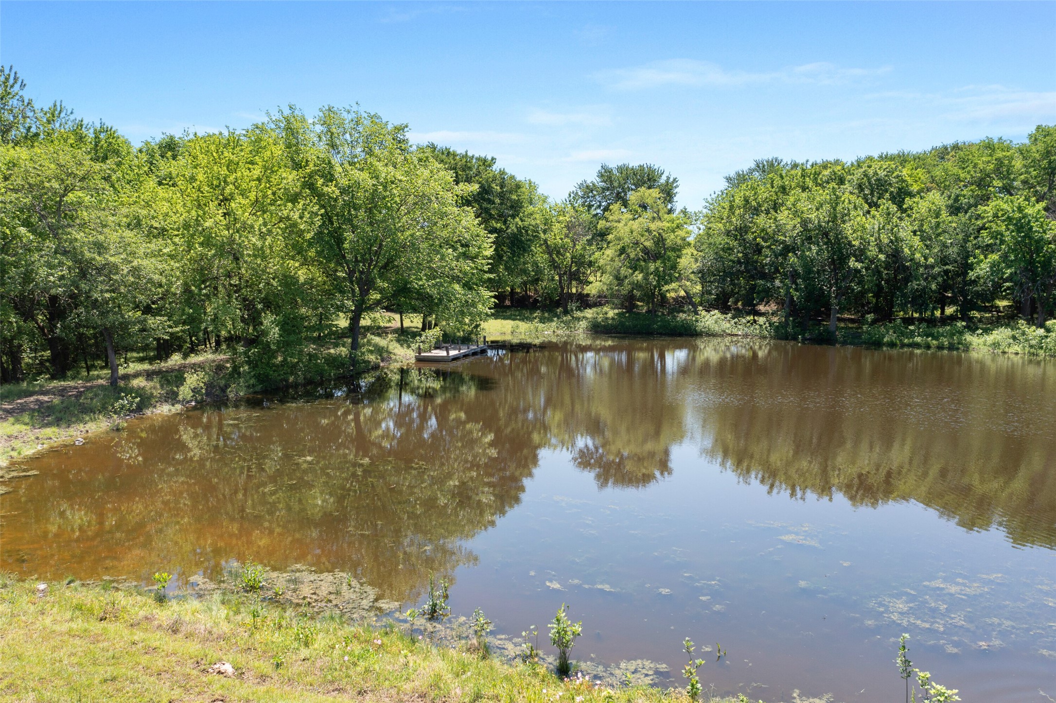 Tbd County Road 171 Celina TX 75009