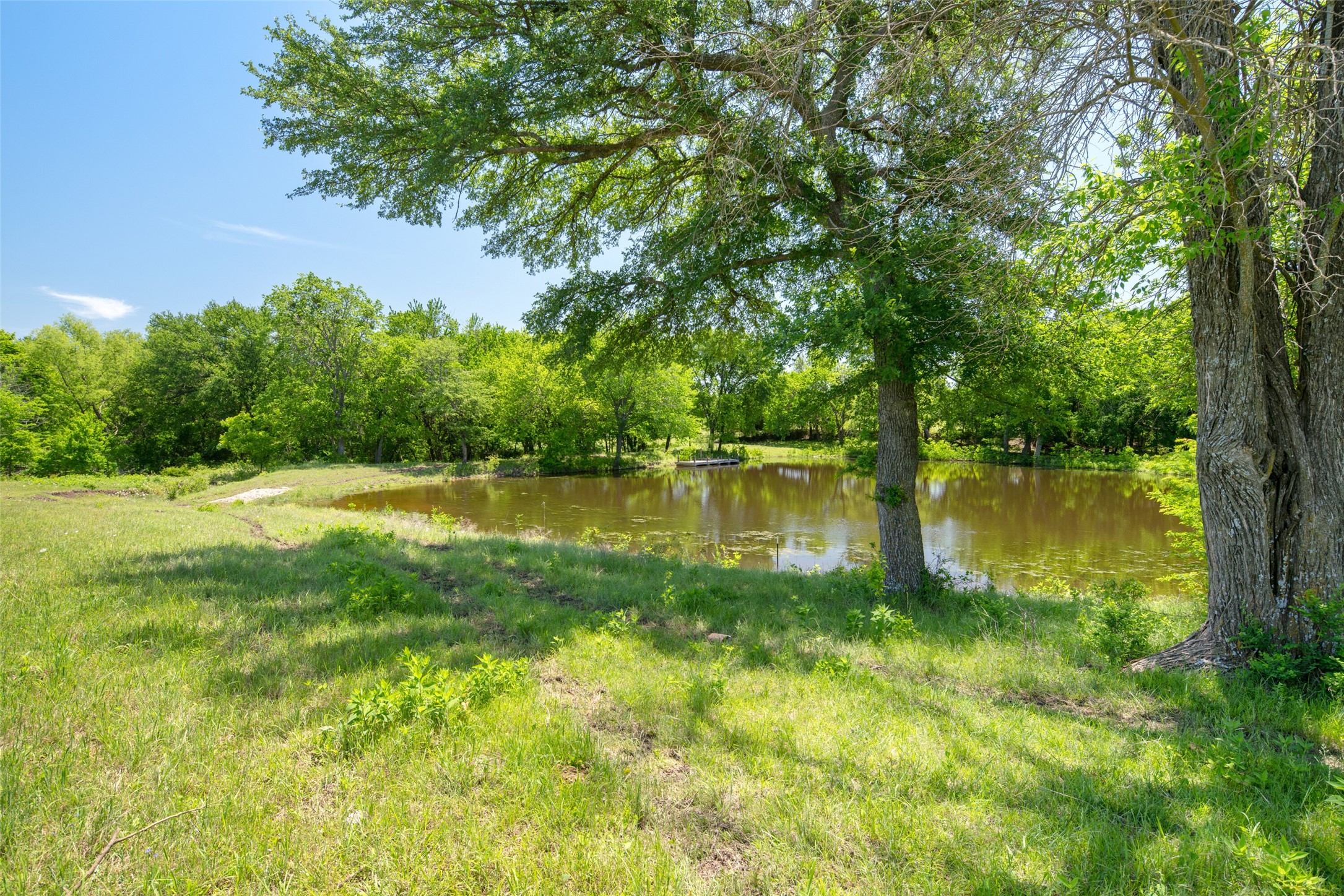 Tbd County Road 171 Celina TX 75009