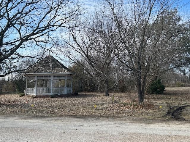 Tbd .81 Ac Wallace Street Whitewright TX 75491