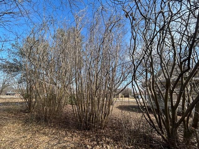 Tbd .81 Ac Wallace Street Whitewright TX 75491