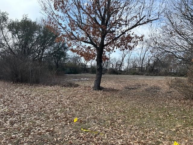 Tbd .81 Ac Wallace Street Whitewright TX 75491