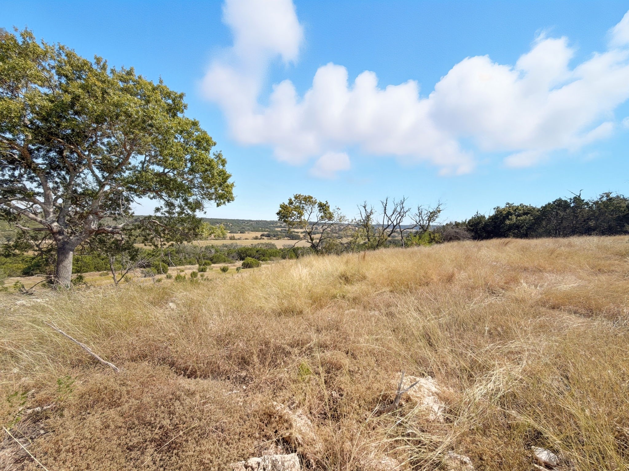 Tbd Fm 2414 - Tract 4 Evant TX 76526
