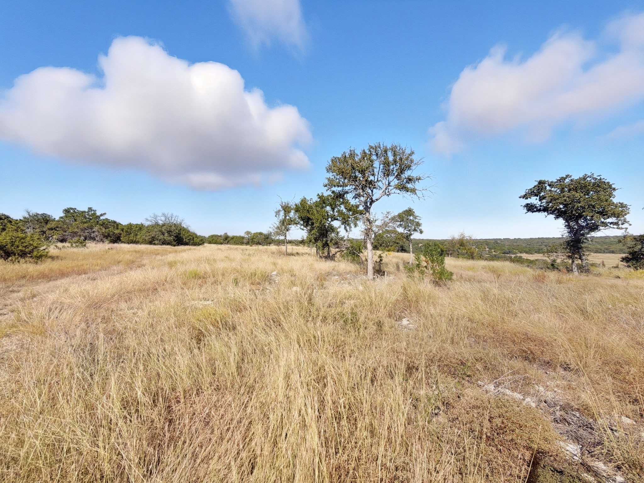 Tbd Fm 2414 - Tract 4 Evant TX 76526