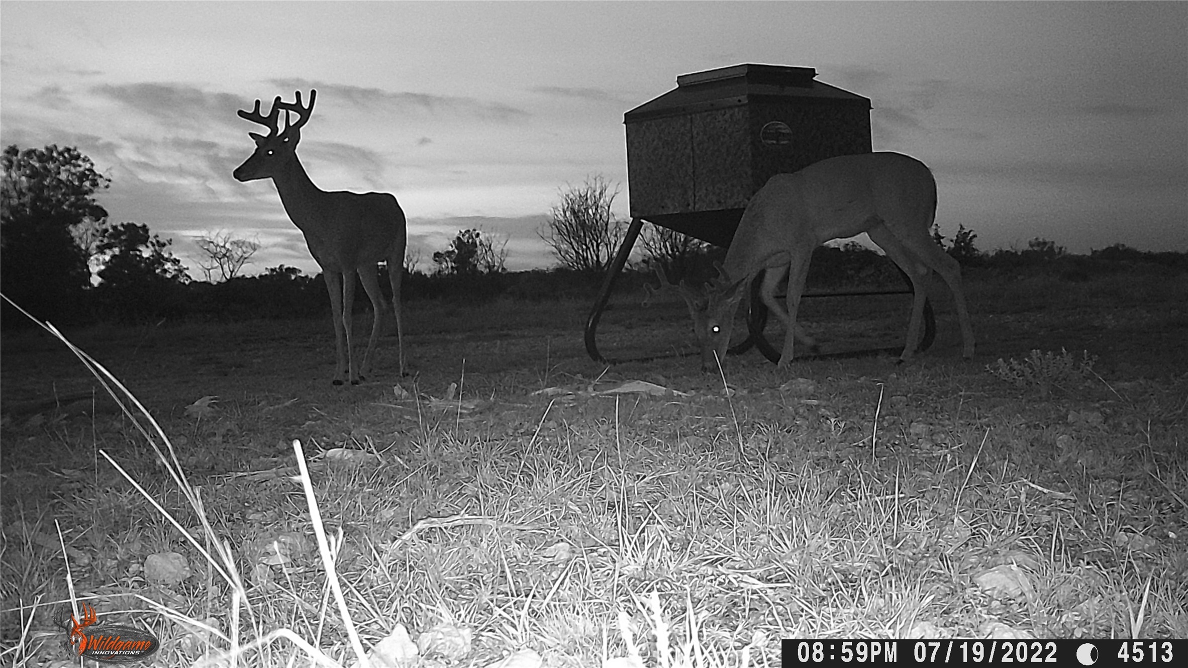 Tbd Fm 2414 - Tract 4 Evant TX 76526