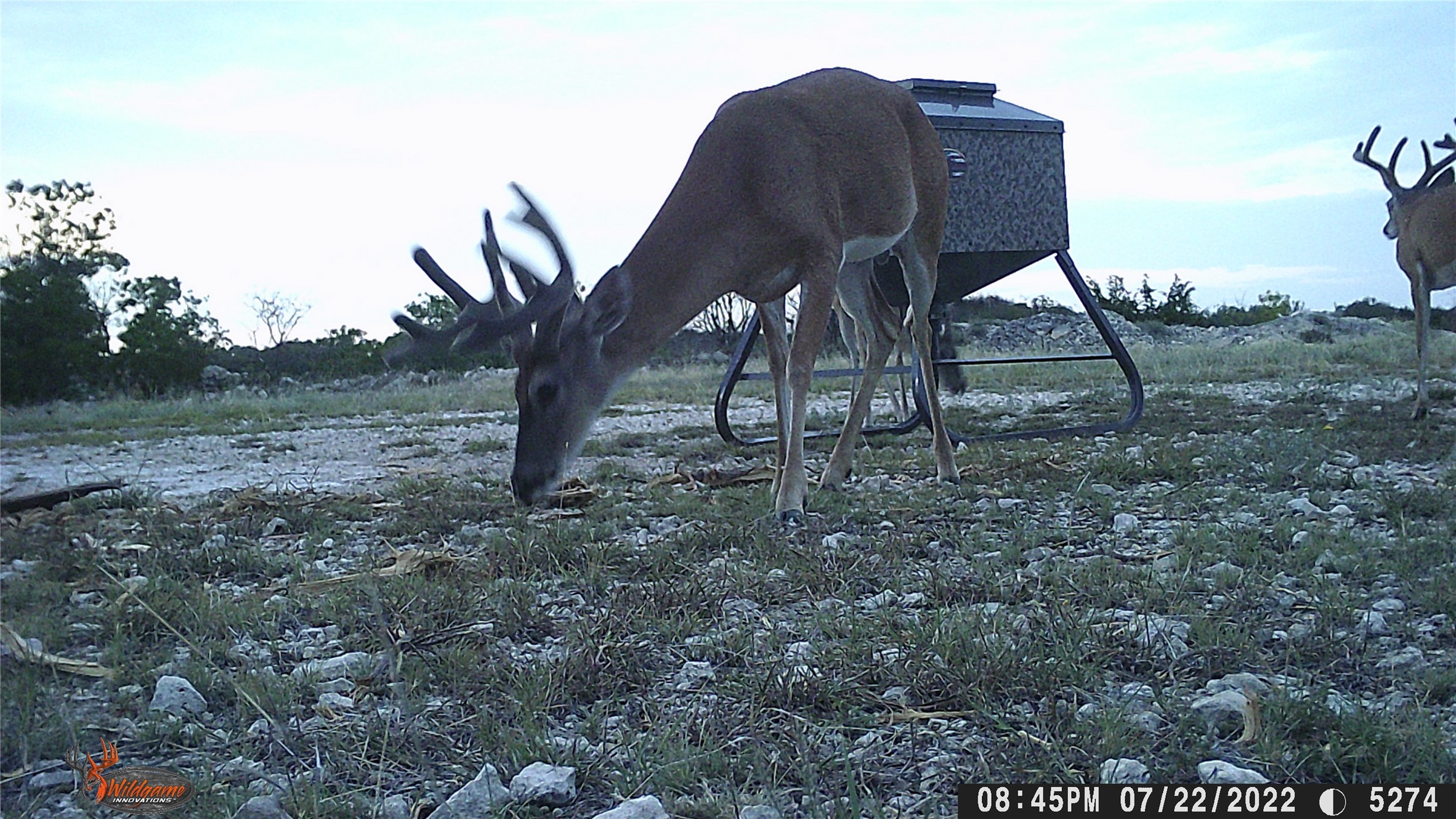 Tbd Fm 2414 - Tract 4 Evant TX 76526