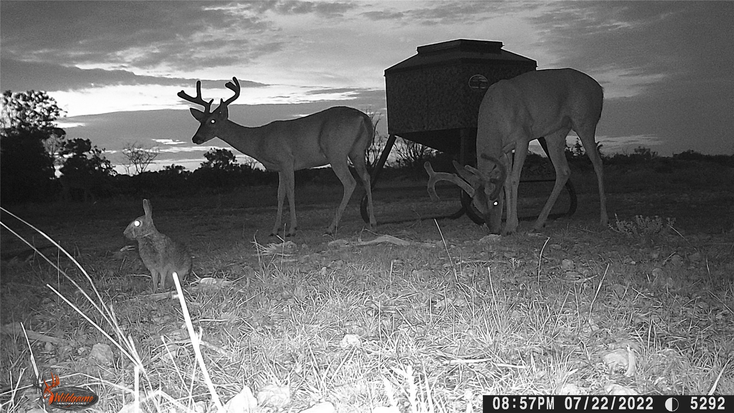 Tbd Fm 2414 - Tract 4 Evant TX 76526
