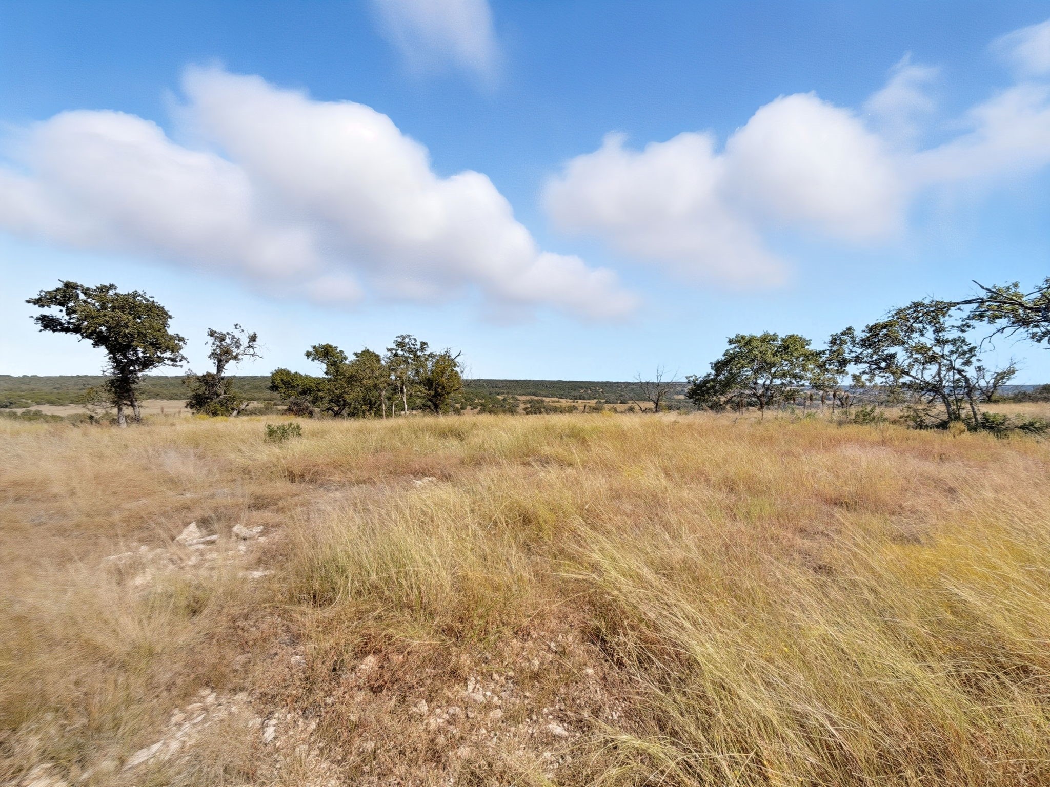 Tbd Fm 2414 - Tract 4 Evant TX 76526