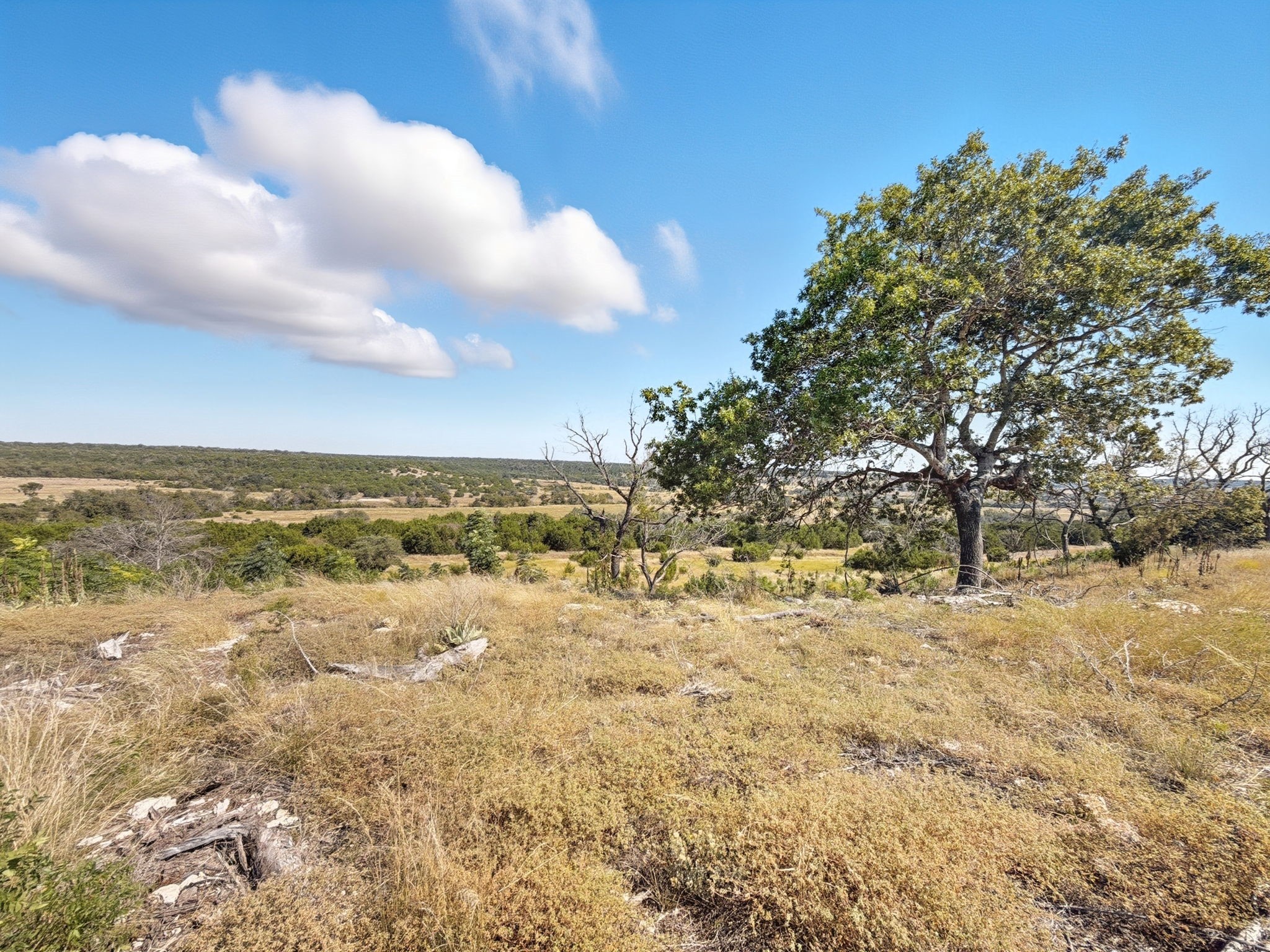 Tbd Fm 2414 - Tract 4 Evant TX 76526
