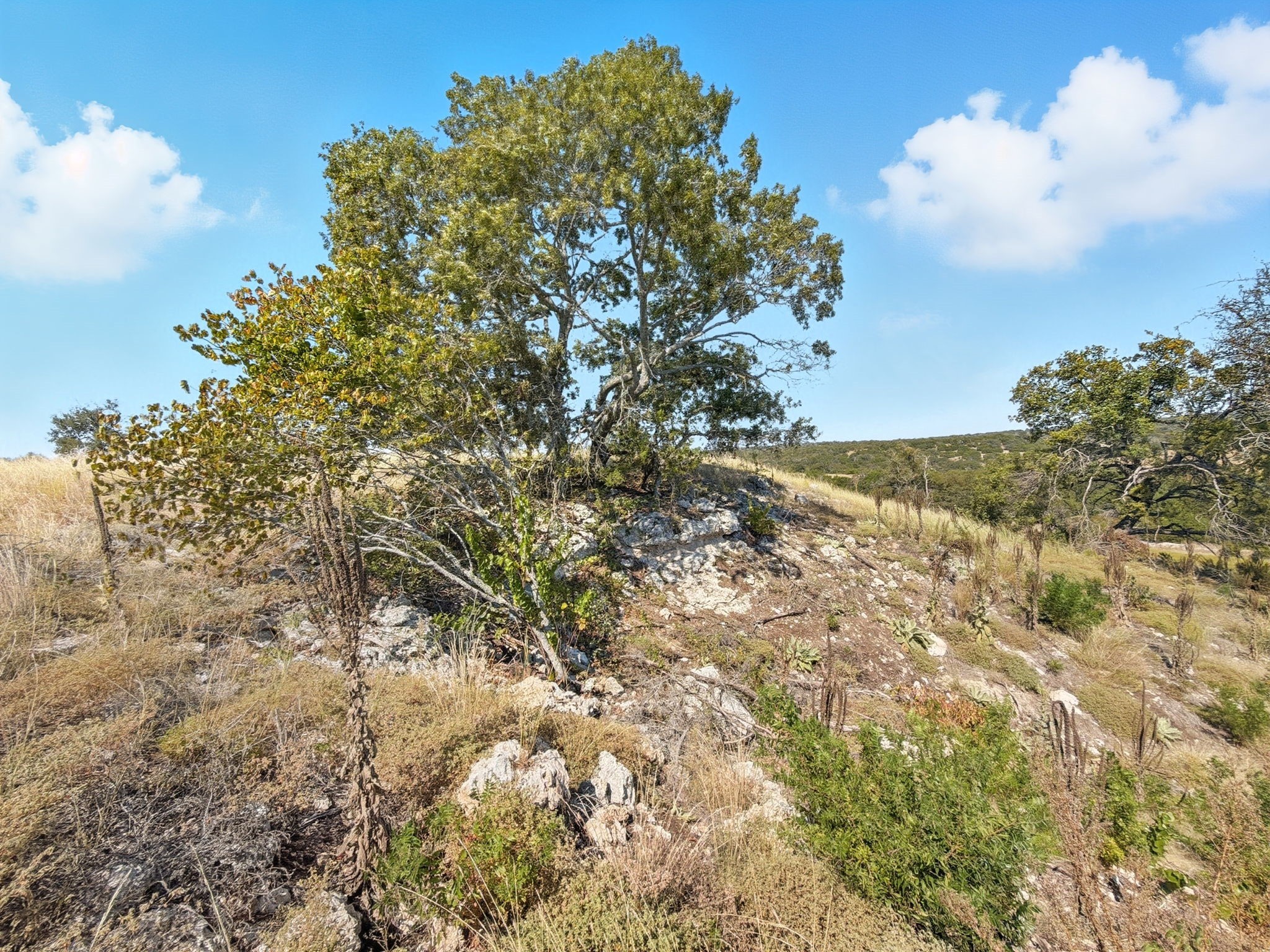 Tbd Fm 2414 - Tract 4 Evant TX 76526