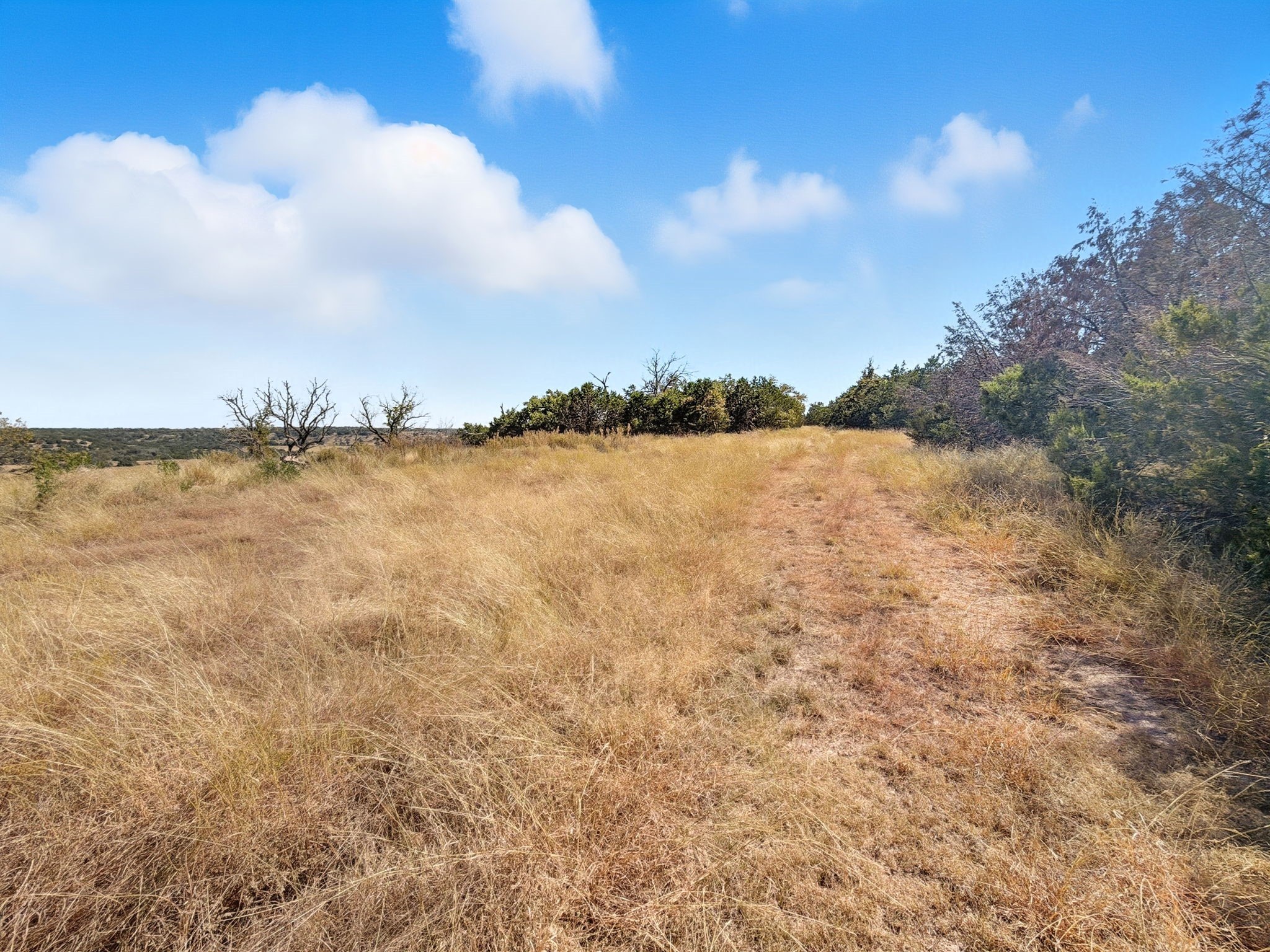 Tbd Fm 2414 - Tract 4 Evant TX 76526