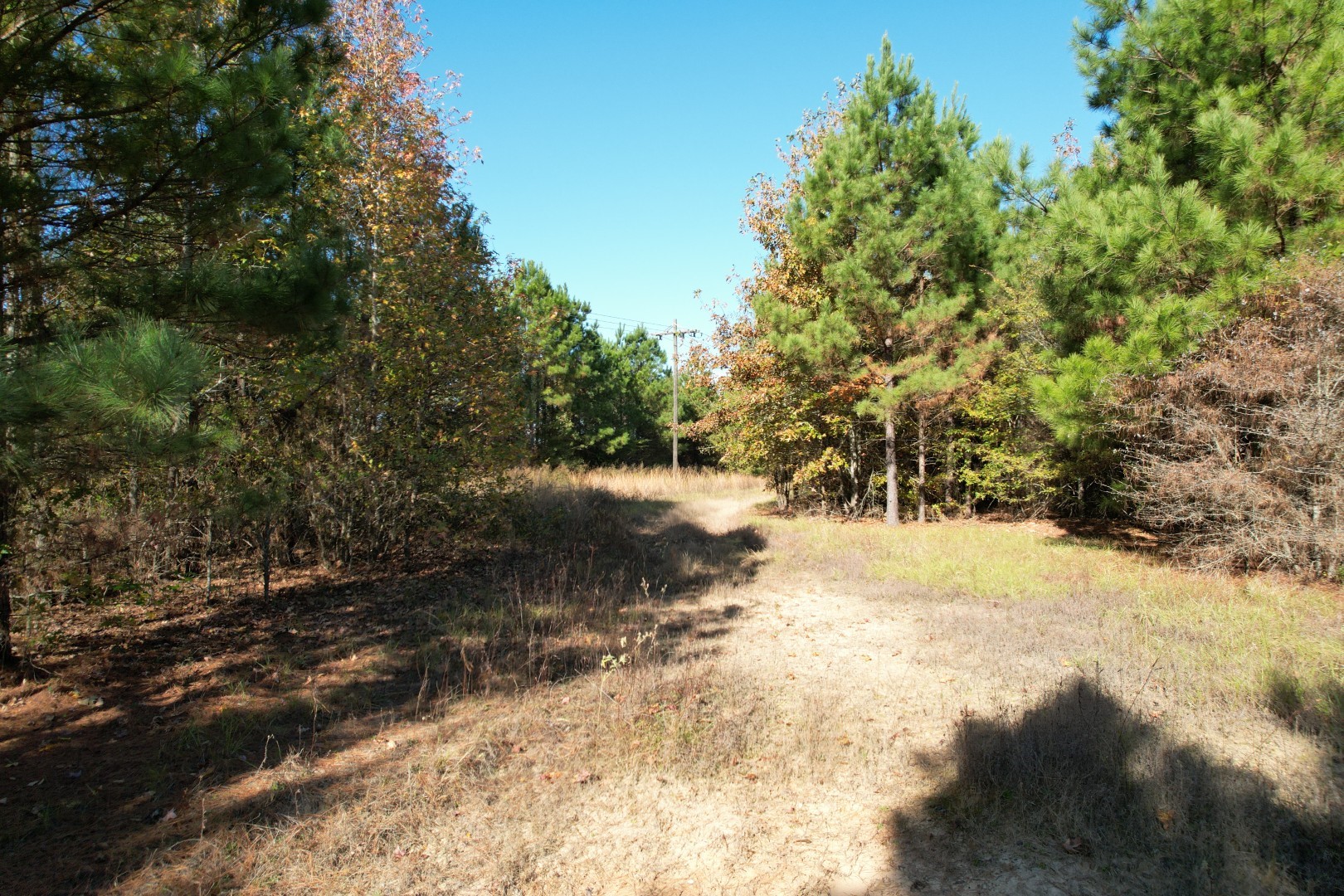 Tbd Fm 1650 Gilmer TX 75645